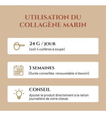 Complément pour chevaux Collagène marin