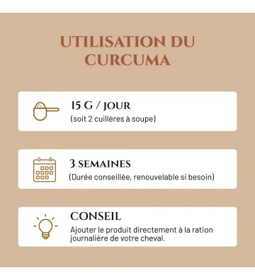 Complément pour chevaux Curcuma