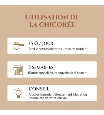Complément pour chevaux Chicorée