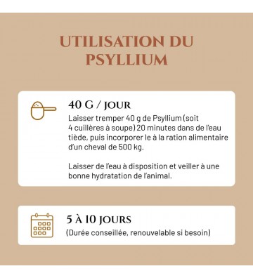 Complément pour chevaux Psyllium
