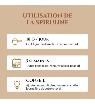 Complément pour chevaux Spiruline