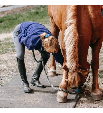 Complément pour chevaux Bambou