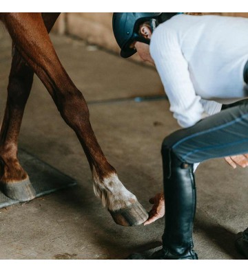 Complément pour chevaux Collagène marin