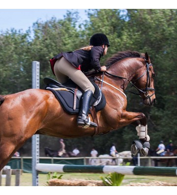 Complément pour chevaux Complexe Performance
