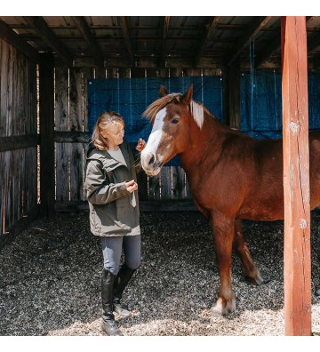 Complément pour chevaux Fenugrec