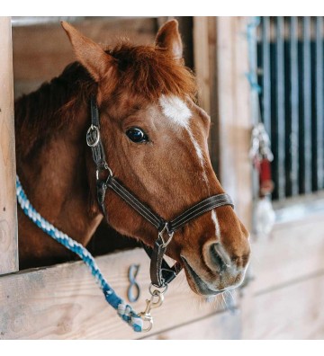Complément pour chevaux Oméga 3 végétal