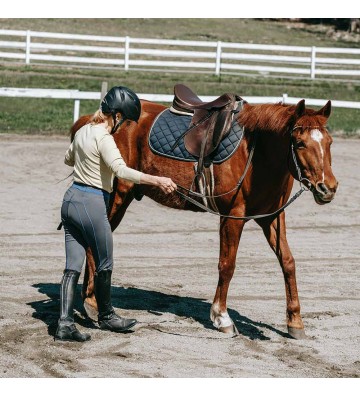 Complément pour chevaux Reine des prés