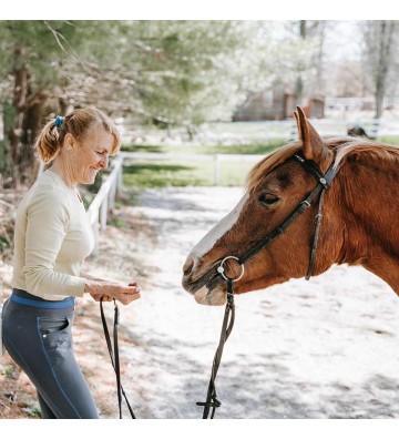 Complément pour chevaux Spiruline
