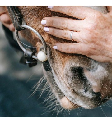 Complément pour chevaux Trio Fortifiant