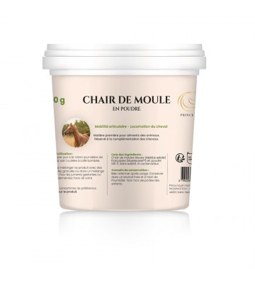 Chair de moule pour les chevaux