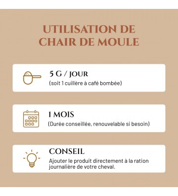 Utilisation chair de moule cheval