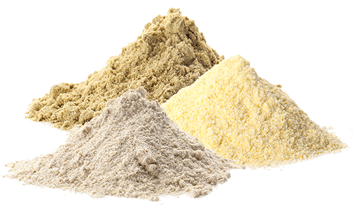 Poudres nutrition