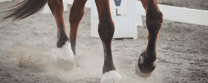 Articulations